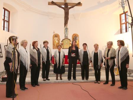 Podpis namere za digitalizacijo arhiva ljudskih pesmi Notranjske 28 FOTO LJUBO VUKELIČ